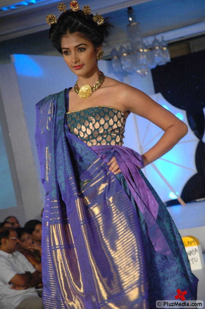 Palam Silk Fashion Show 2011 Pictures | Picture 74239